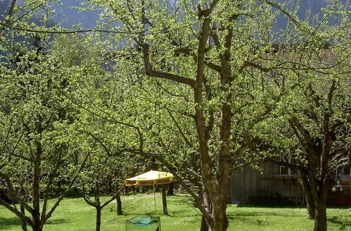 Der Siegeler - Lifestylehotel Rocks